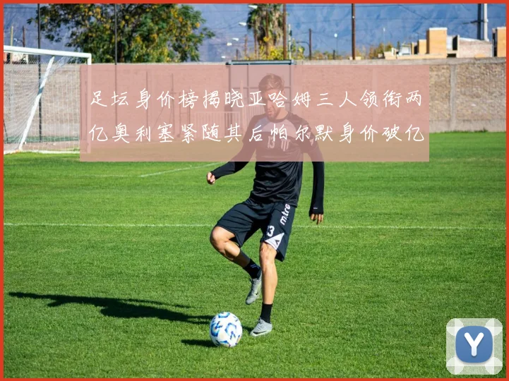 足坛身价榜揭晓亚哈姆三人领衔两亿奥利塞紧随其后帕尔默身价破亿
