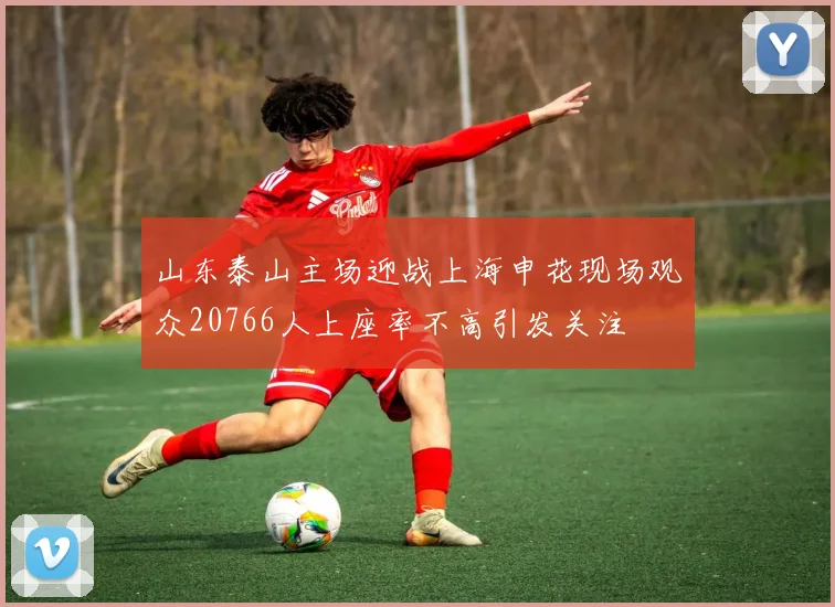 山东泰山主场迎战上海申花现场观众20766人上座率不高引发关注
